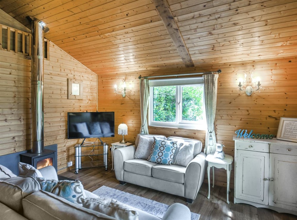 Living area at The Owls Nest in Machynlleth, Powys