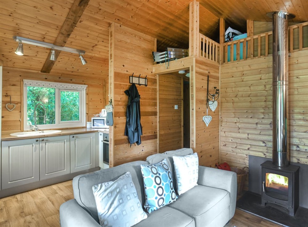 Open plan living space at The Owls Nest in Machynlleth, Powys