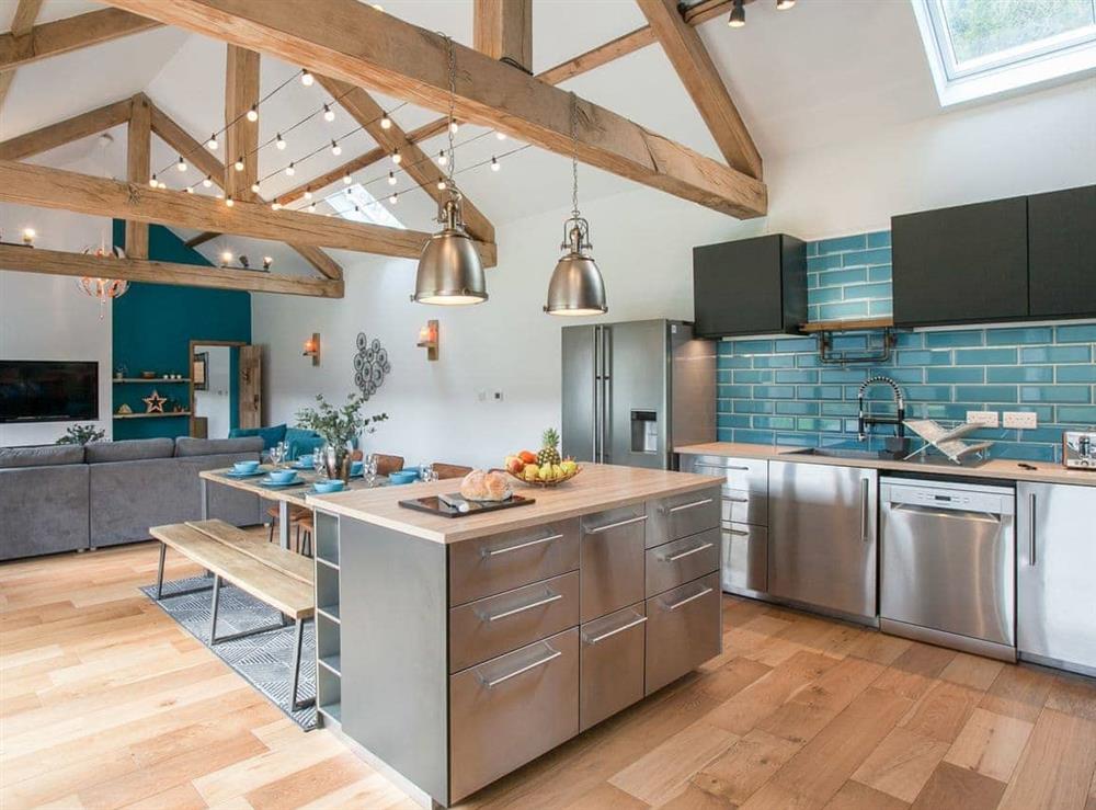 Amazing stainless steel contemporary kitchen at The Pendre Longbarn in Pontrhydygroes, near Ystrad Meurig, Cardigan, Dyfed