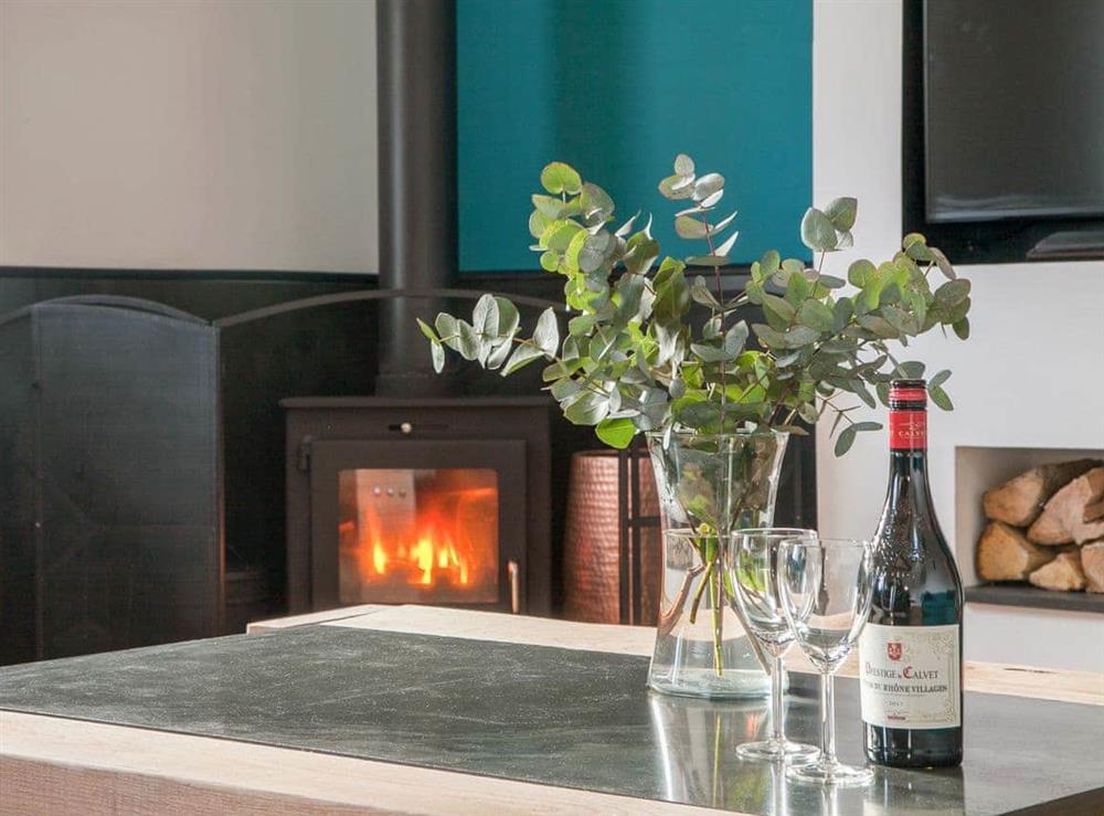 Relax and unwind by the cosy wood burner in the living area at The Pendre Longbarn in Pontrhydygroes, near Ystrad Meurig, Cardigan, Dyfed