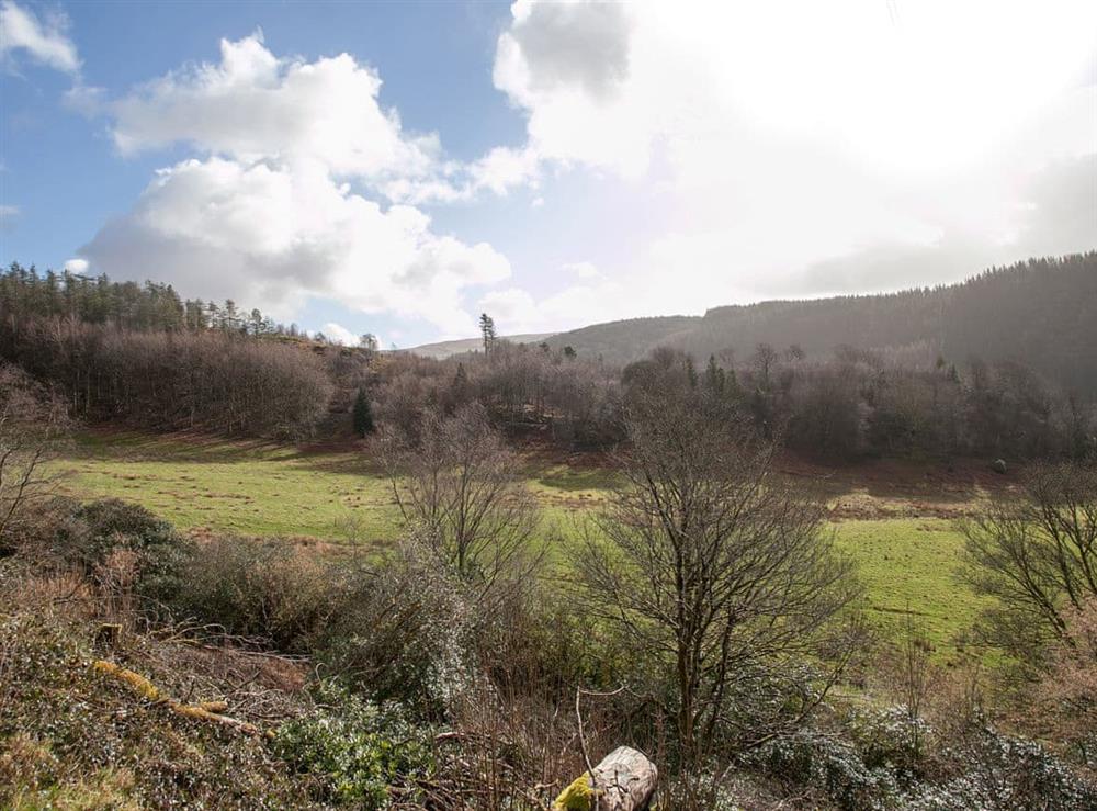 Set in the heart of the Hafod estate