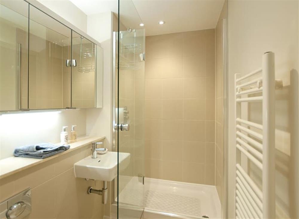 Shower room at The Penthouse in Horizon View, Westward Ho!