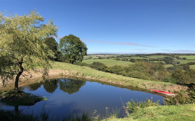 Rural landscape