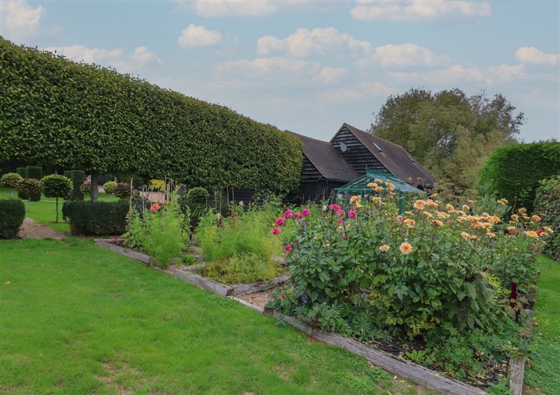 Enjoy the garden at The Piggery, West Peckham near Kings Hill