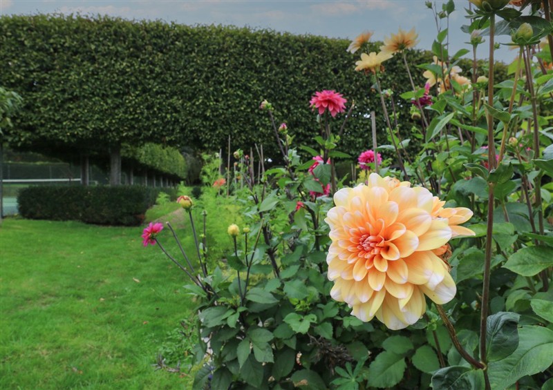 This is the garden at The Piggery, West Peckham near Kings Hill
