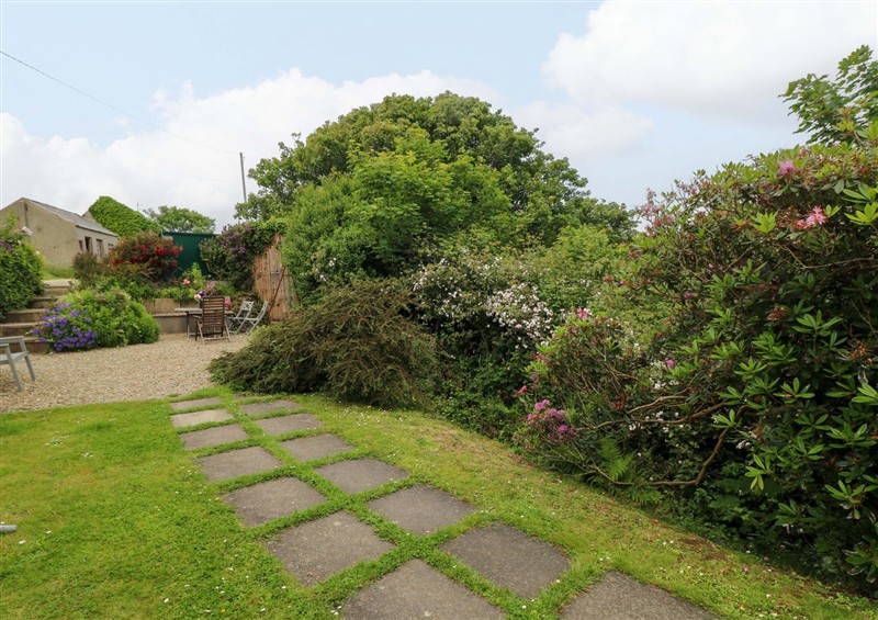 Enjoy the garden at The Pink House, Nine Wells near Solva