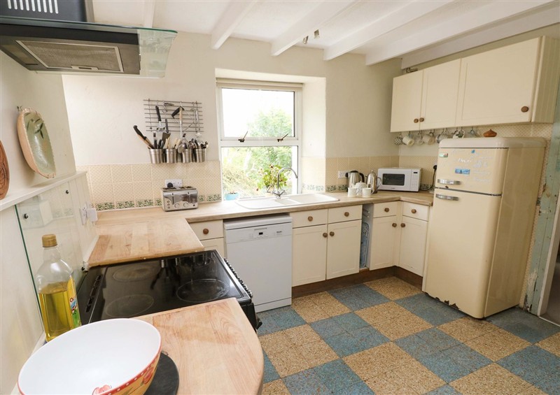 Kitchen (photo 2) at The Pink House, Nine Wells near Solva
