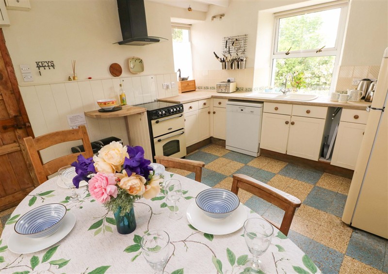 Kitchen at The Pink House, Nine Wells near Solva