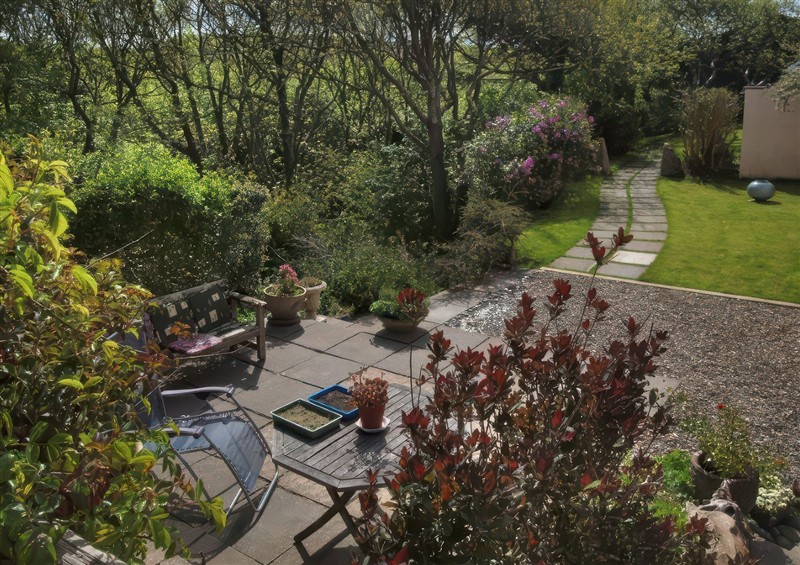 Outside at The Pink House, Nine Wells near Solva