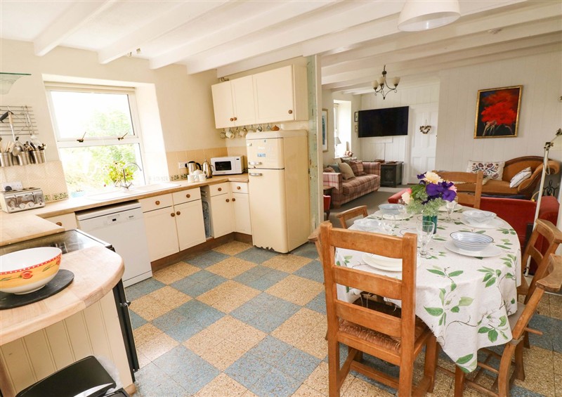 The kitchen at The Pink House, Nine Wells near Solva