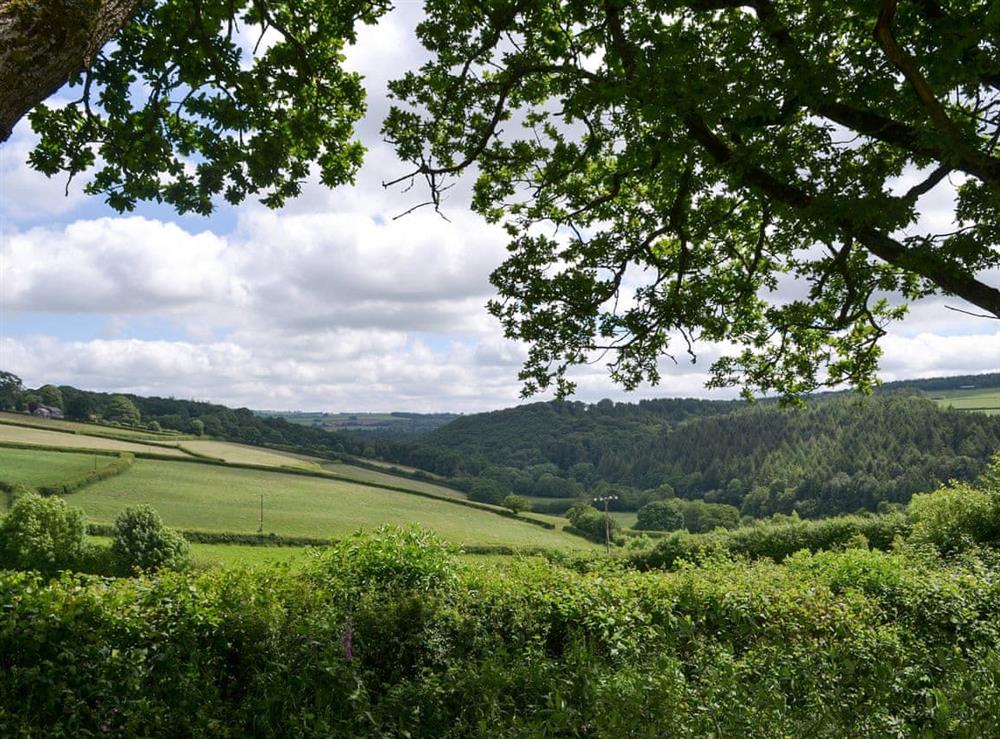 View at The Platt in Rezare, near Launceston, Cornwall