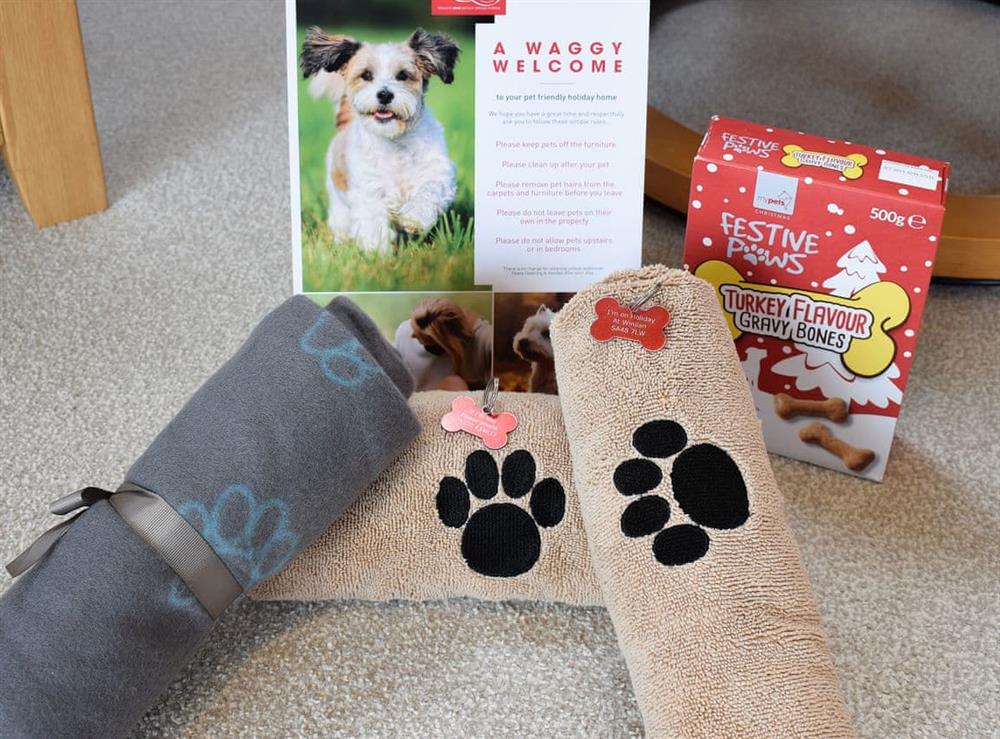 Canine welcome pack