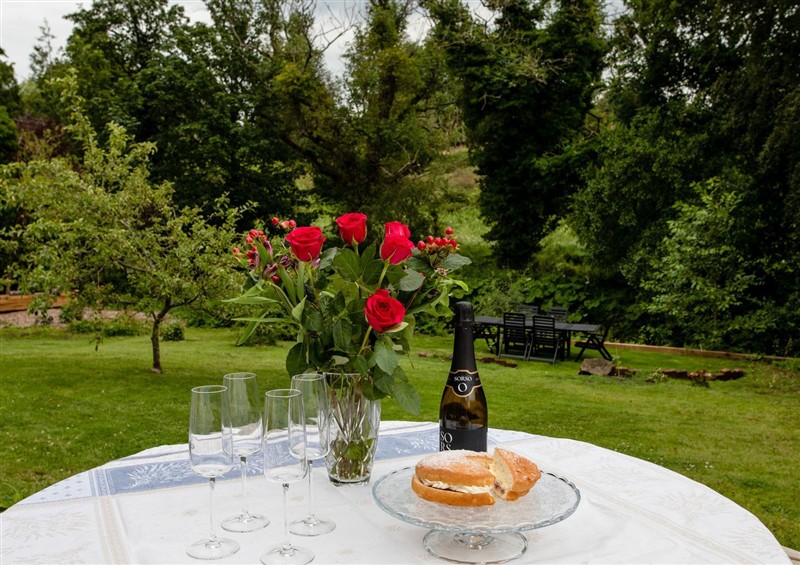 The garden at The Poachers Pocket, Whittingham near Powburn