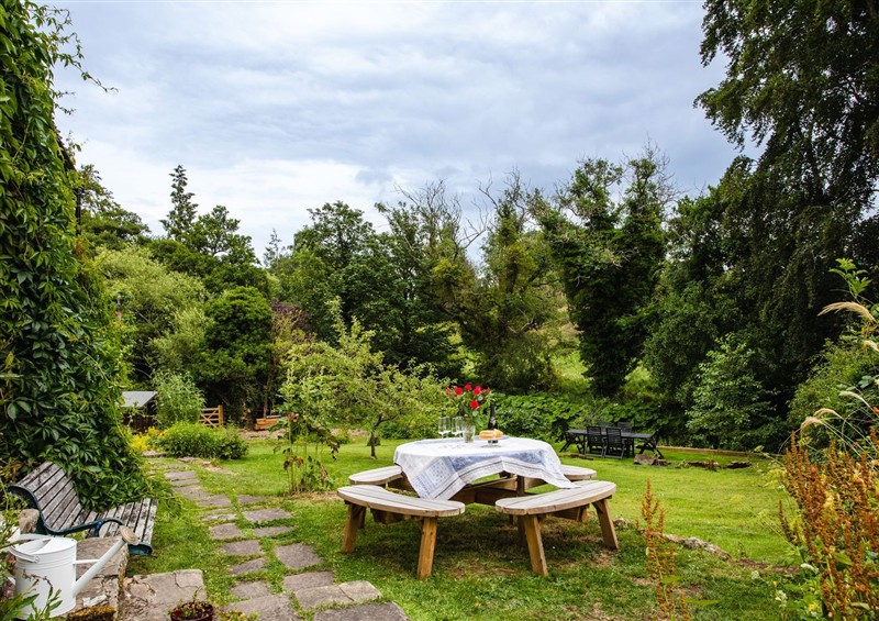 This is the garden at The Poachers Pocket, Whittingham near Powburn