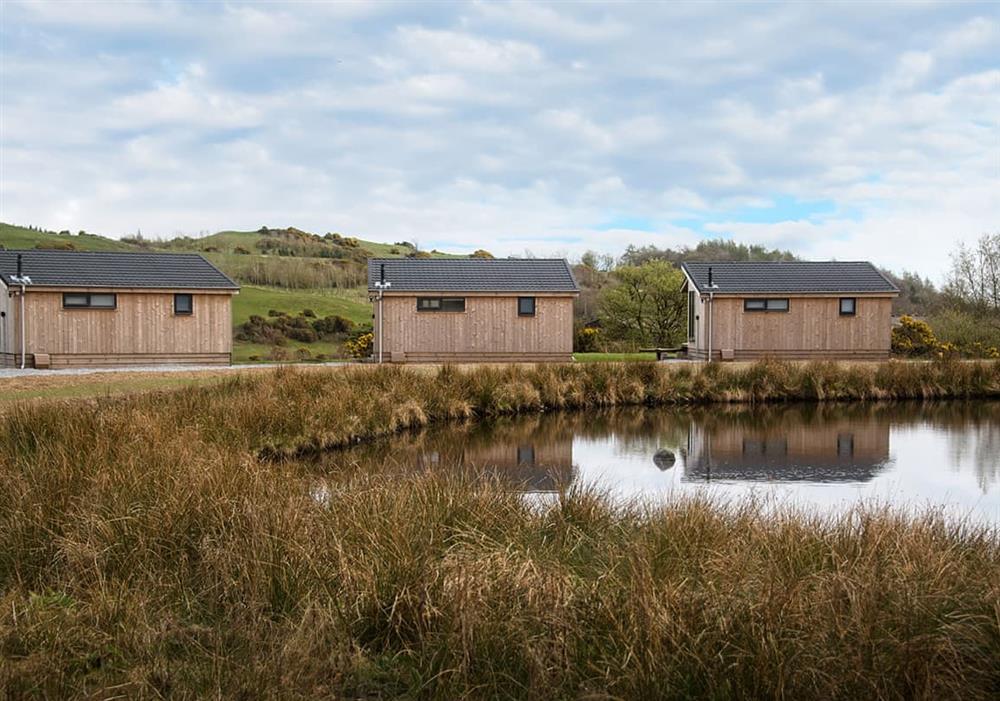 The Pond Lodges, Ringford, Kirkcudbright (photo 21) at The Pond Lodges, Ringford