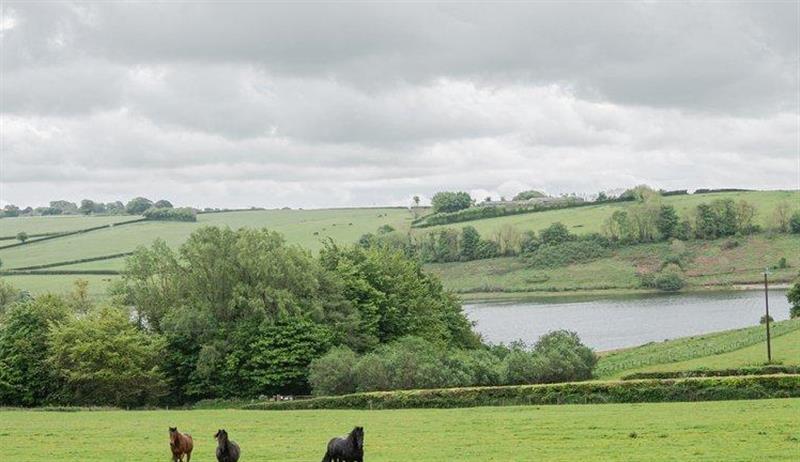 Rural landscape