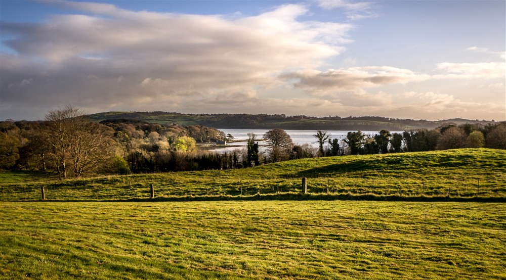 The area surrounding The Potters Cottage, County Down (photo 4) at The Potter's Cottage in Strangford, Downpatrick