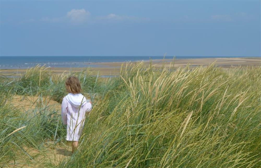 Old Hunstanton dunes