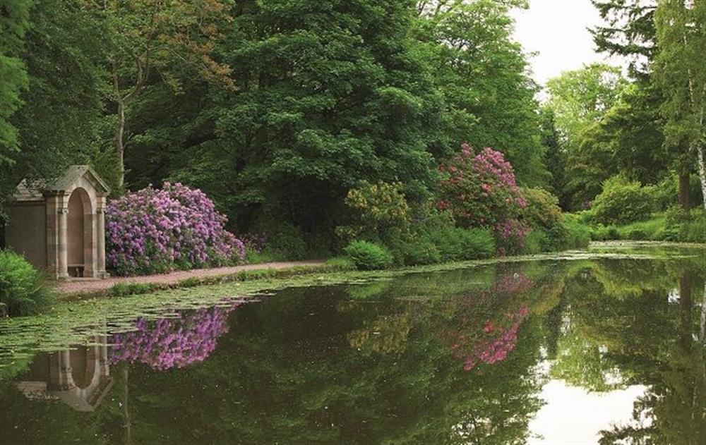 Temple Pool, a haven for wildlife and an ideal area for picnics