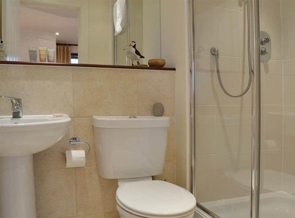En-suite shower room at The Quaich in Fearnan, by Aberfeldy, Perthshire