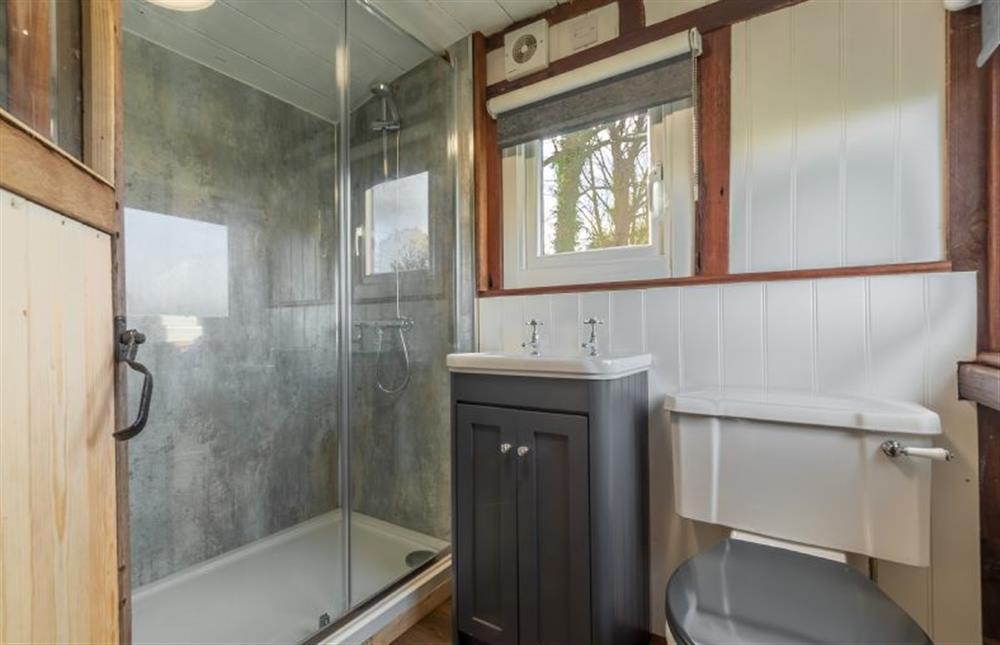 Ground floor: En-suite shower room with large cubicle at The Railway Carriage, Melton Constable