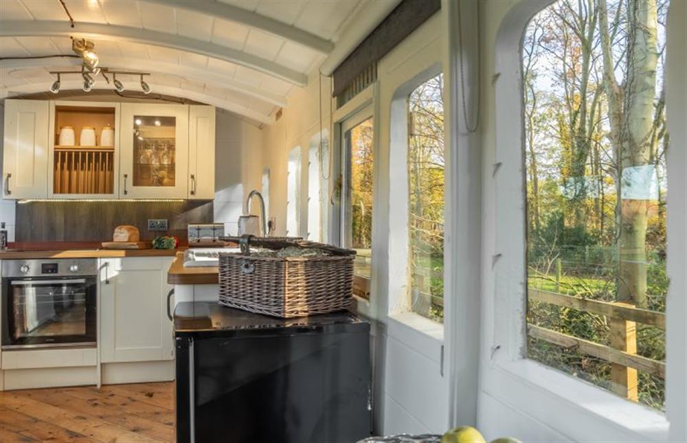 Ground floor: The woodland view from the carriage at The Railway Carriage, Melton Constable