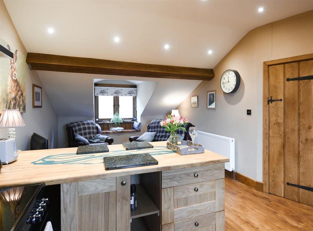 Open plan living space at The Red House in Bishops Castle, Shropshire