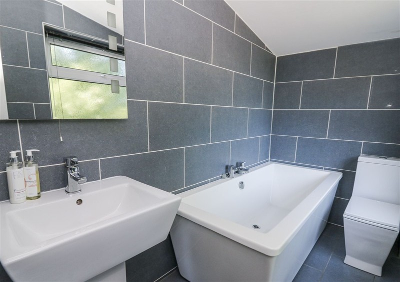 This is the bathroom (photo 5) at The Retreat at Glanrannell Park House, Llansawel