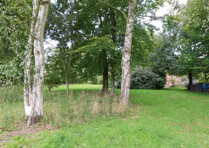 Outside at The Retreat, Oulton