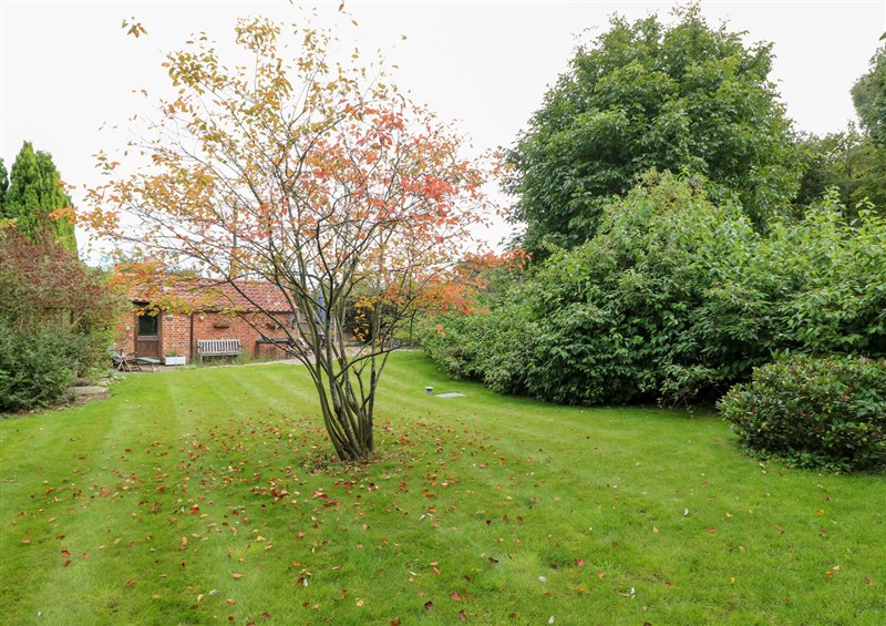 This is the garden at The Retreat, Oulton