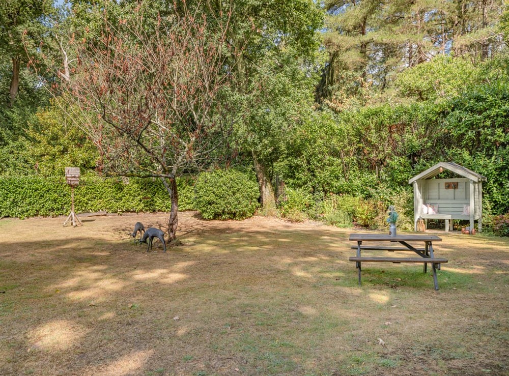 Outdoor (photo 5) at The Retreat in Ringwood, New Forest, Hampshire