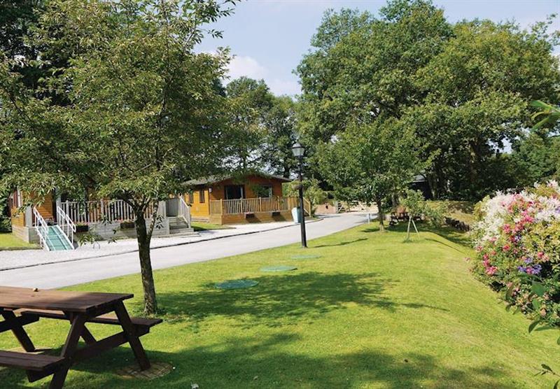 The lodge setting (photo number 2) at The Ridgeway in Cheshire, Heart of England