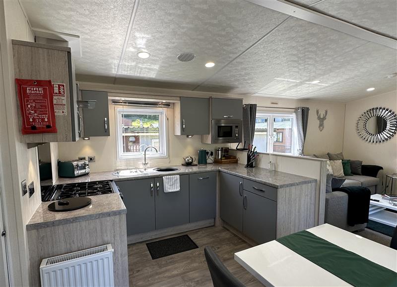 Kitchen at The Ridgeway, Woodlands Lodge Retreat near Llanarth