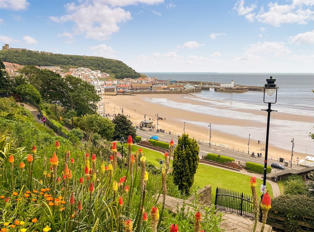 Surrounding area at The Rise in Scarborough, North Yorkshire