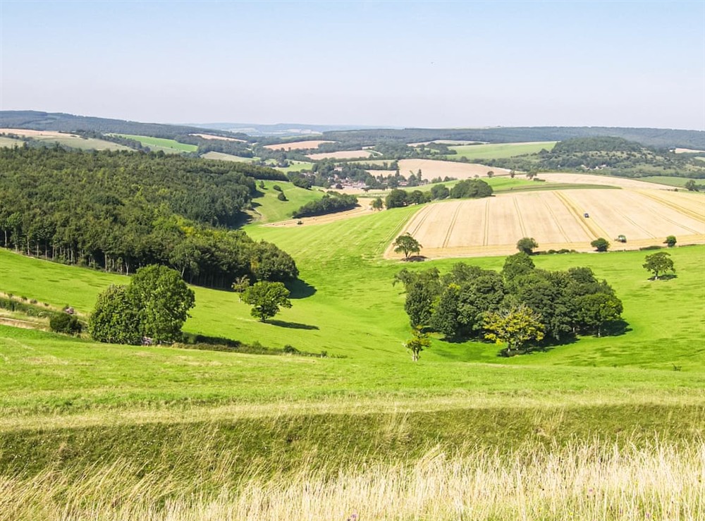 Outdoor area (photo 4) at The River House in Arundel, West Sussex