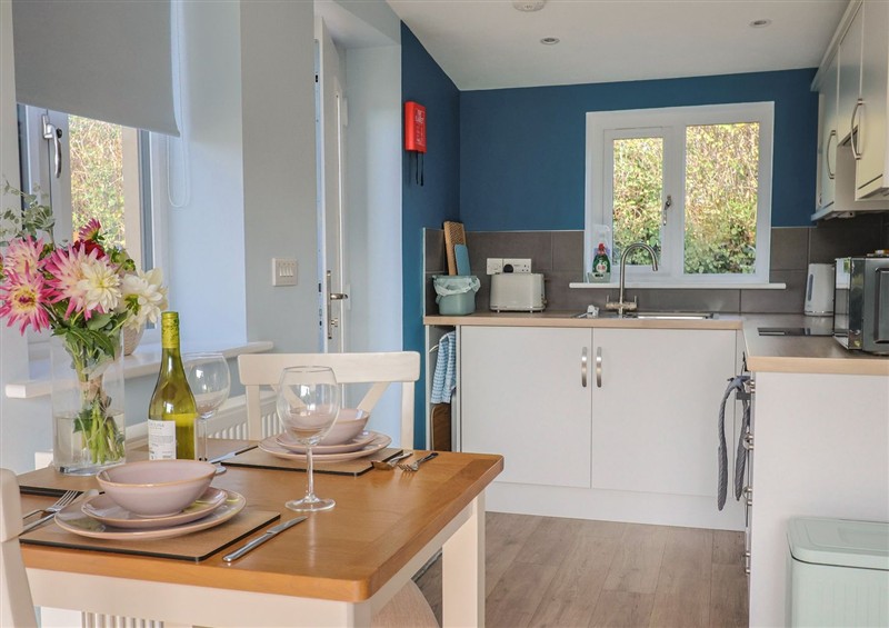 Kitchen at The Roost, Whitford Nr. Colyton