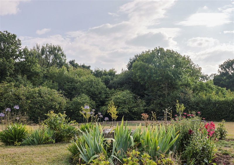 Rural landscape at The Roost, Whitford Nr. Colyton