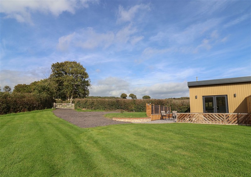 The garden in The Roost at The Roost, Whitford Nr. Colyton