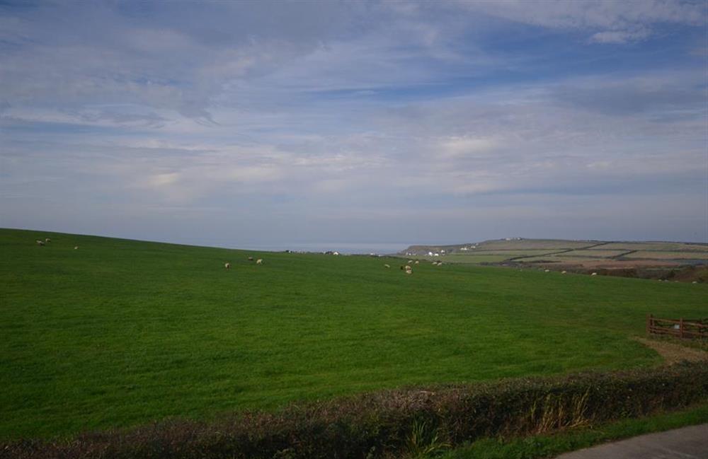 Views across the rolling hills from Quinceborough Farm at The Roost, Widemouth Bay