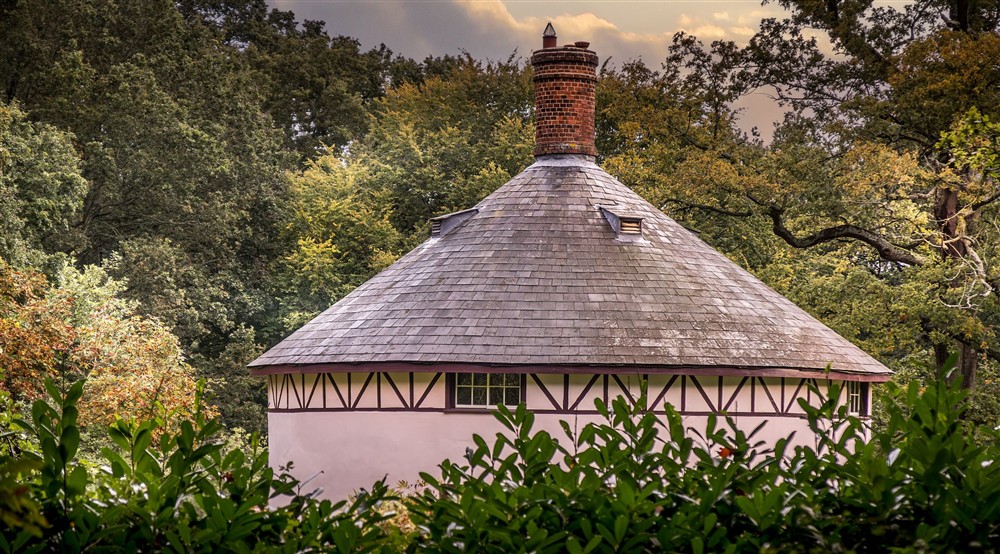 Looking through the woodland at The Round House in Bury St Edmunds, Suffolk