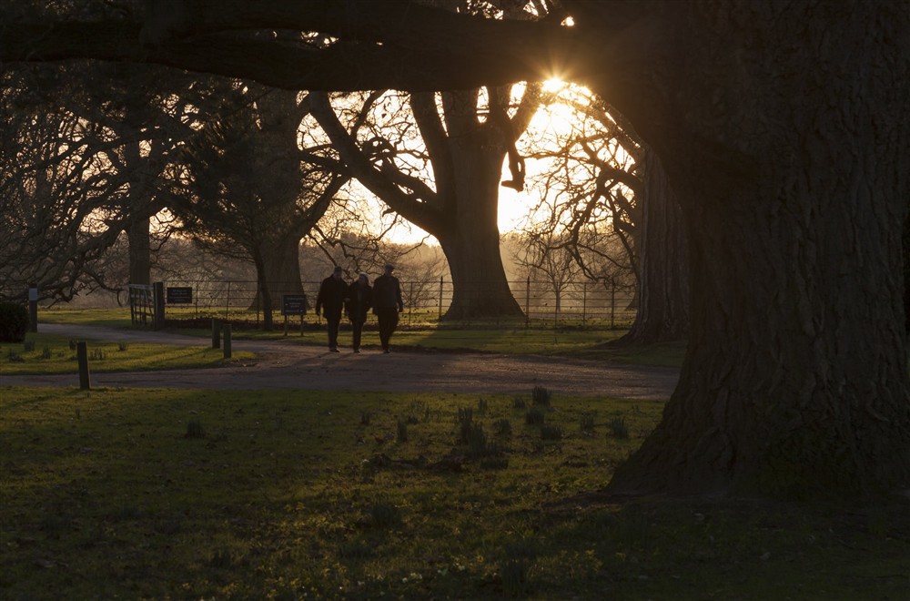 Three walkers in silhouette enjoy an evening stroll at The Round House in Bury St Edmunds, Suffolk