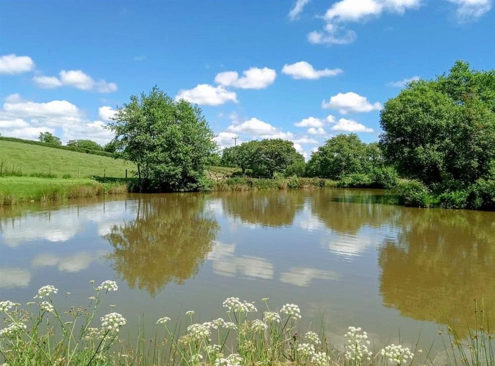 Extensive grounds including a private fishing lake at The Round House in Pyworthy, near Holsworthy, Devon