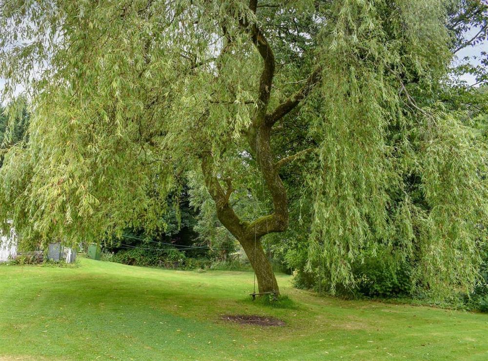 Garden and grounds (photo 2) at The Row in Spark Bridge, near Ulvertson, , Cumbria