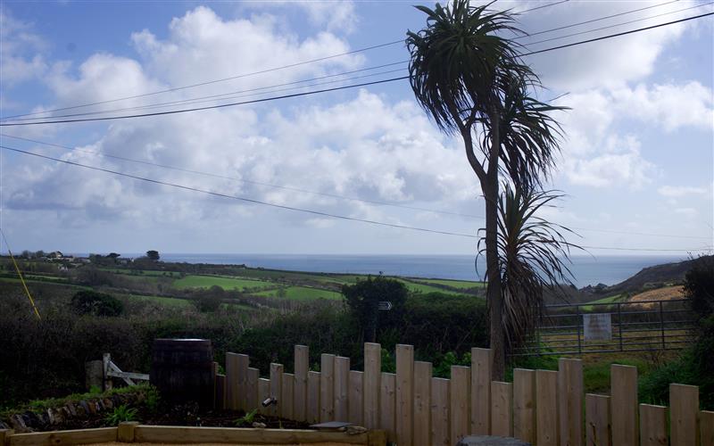 The garden at The Rum House, Porthallow