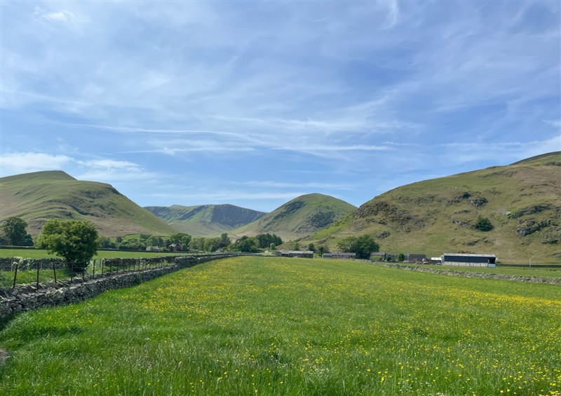 The garden in The School at The School, Mungrisdale near Caldbeck