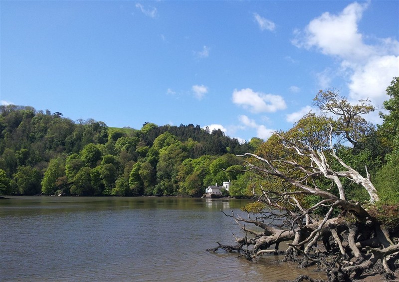 In the area at The Sharpham Boat House, Ashprington
