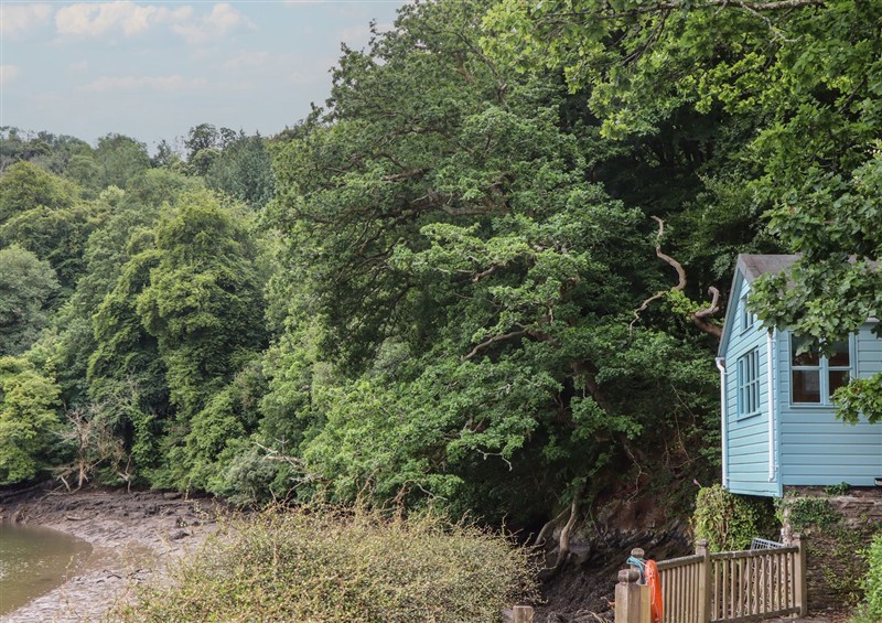 The area around The Sharpham Boat House at The Sharpham Boat House, Ashprington