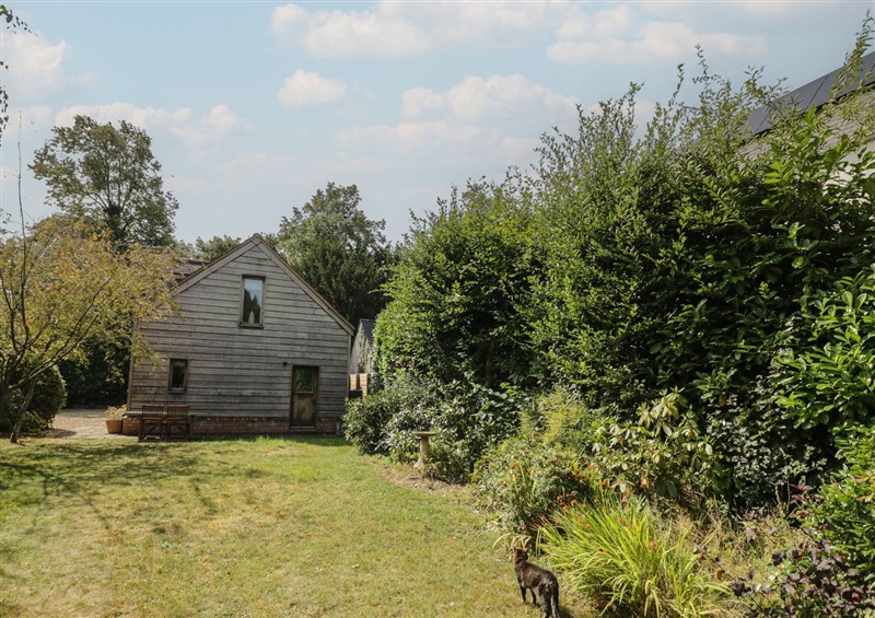 Enjoy the garden at The Shed, Alveston near Tiddington