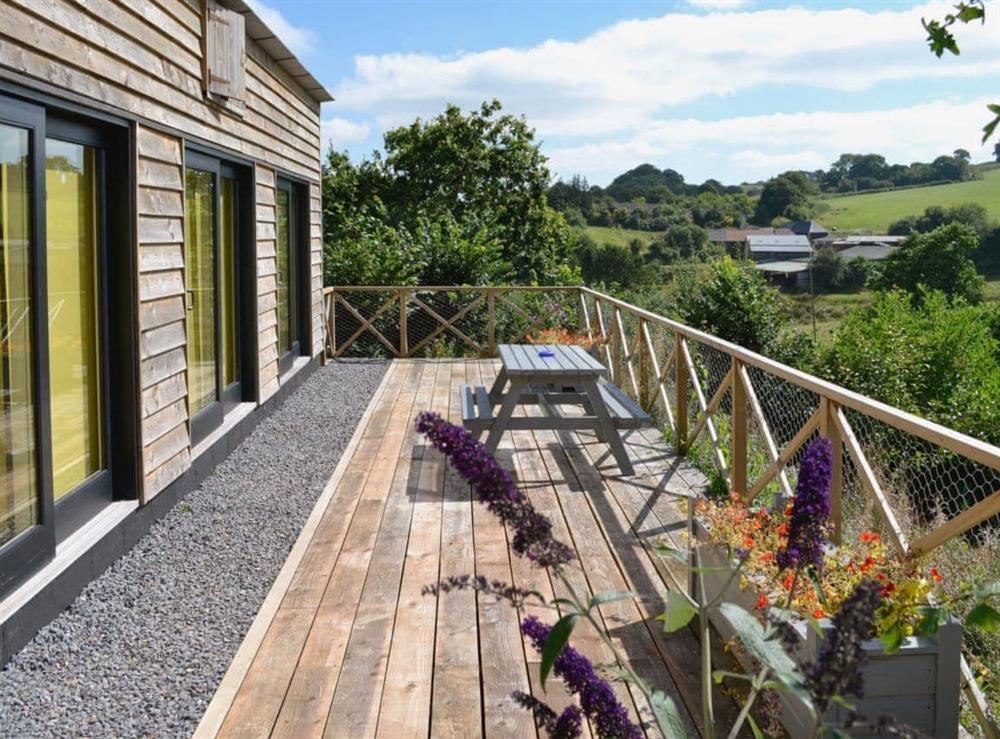 Large enclosed patio with garden furniture at The Shed with a View in Cadbury, near Crediton, Devon