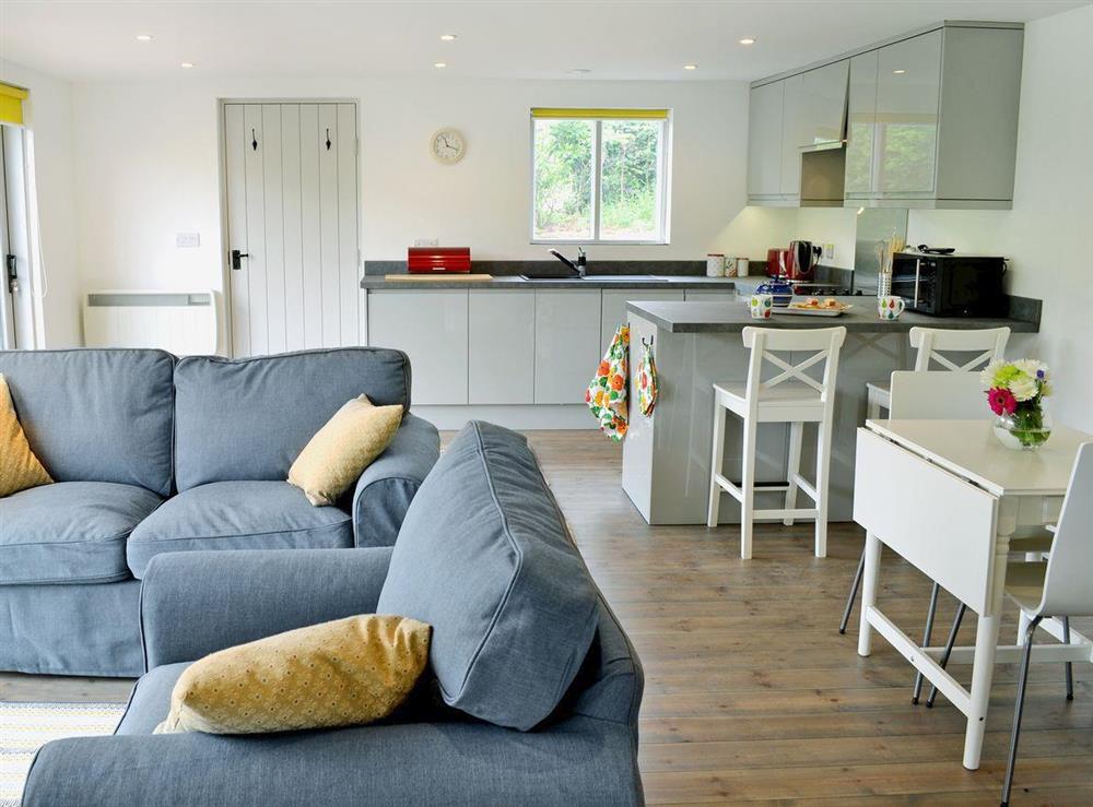 Open plan living/dining room/kitchen (photo 2) at The Shed with a View in Cadbury, near Crediton, Devon